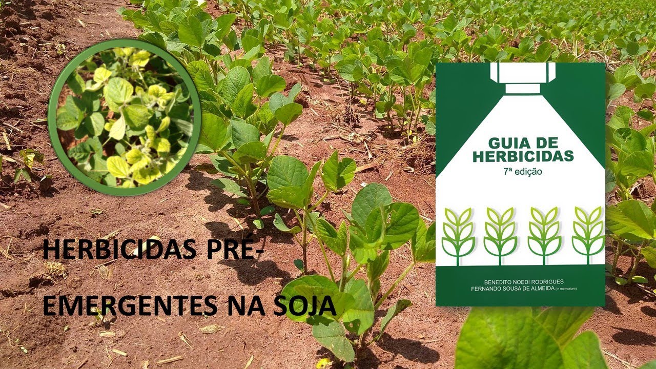 Compatibilidad con cultivos, rotación y gestión de resistencia a partir de la plantación